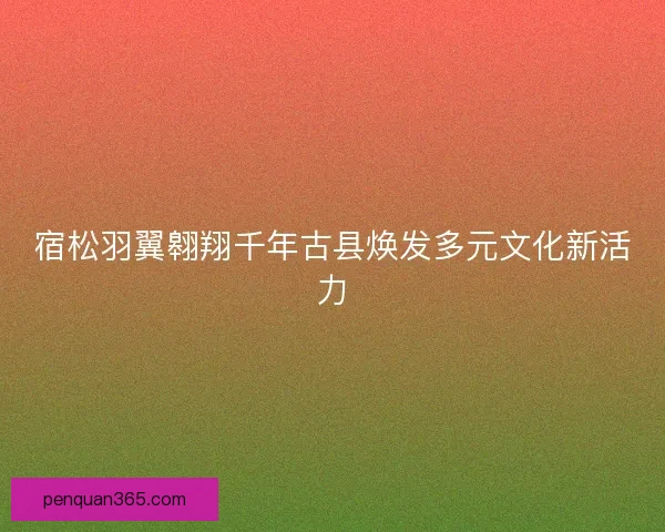 宿松羽翼翱翔千年古县焕发多元文化新活力