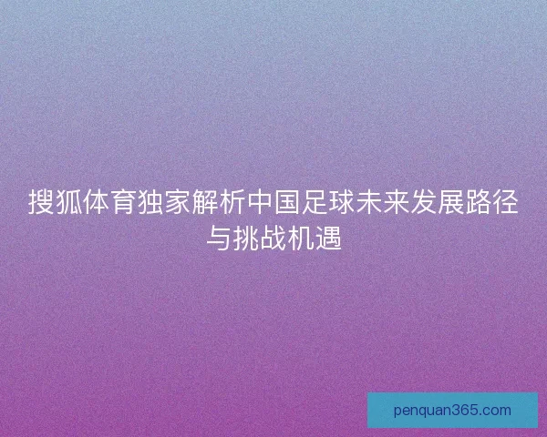 搜狐体育独家解析中国足球未来发展路径与挑战机遇