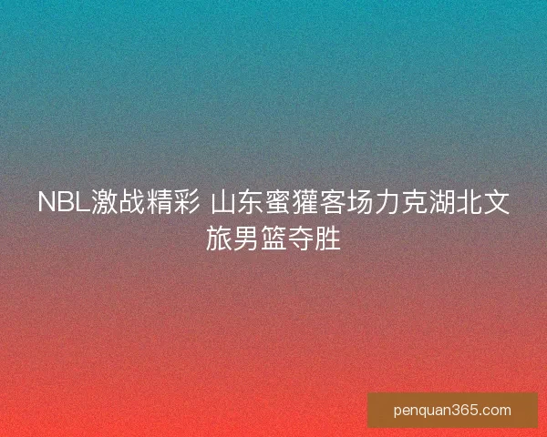 NBL激战精彩 山东蜜獾客场力克湖北文旅男篮夺胜